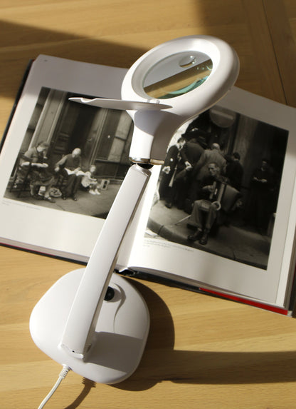 Lifemax Magnifying 2-in-1 Lamp